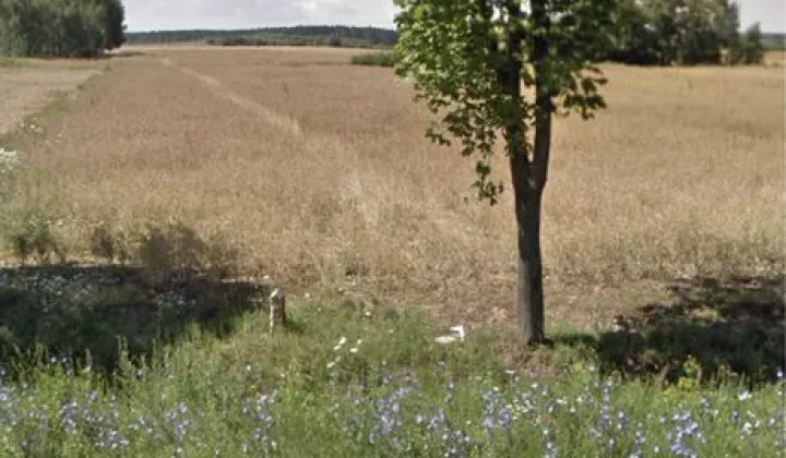 Działka inwestycyjna Gogołowice