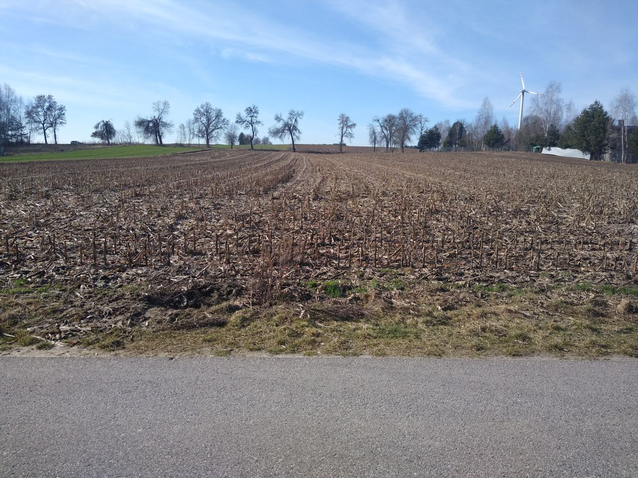 Działka budowlana Koziołki. Zdjęcie 5