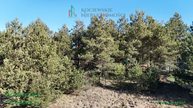 Działka budowlana Stara Kiszewa. Zdjęcie 11