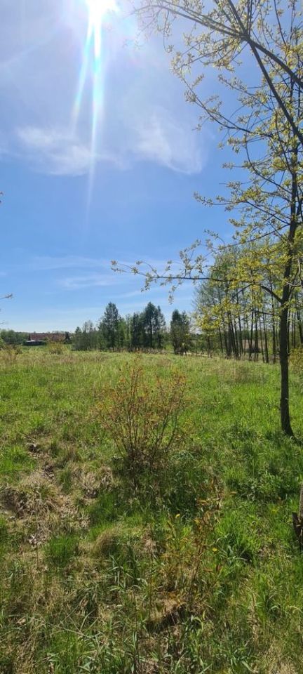 Działka rekreacyjna Antoninów. Zdjęcie 6