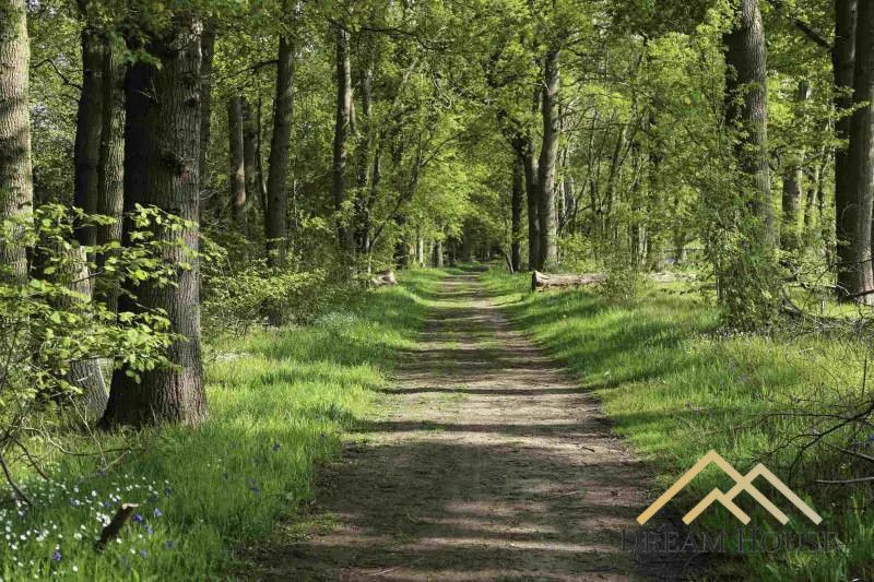 Mieszkanie 2-pokojowe Gdańsk Zakoniczyn, ul. Wieżycka. Zdjęcie 5