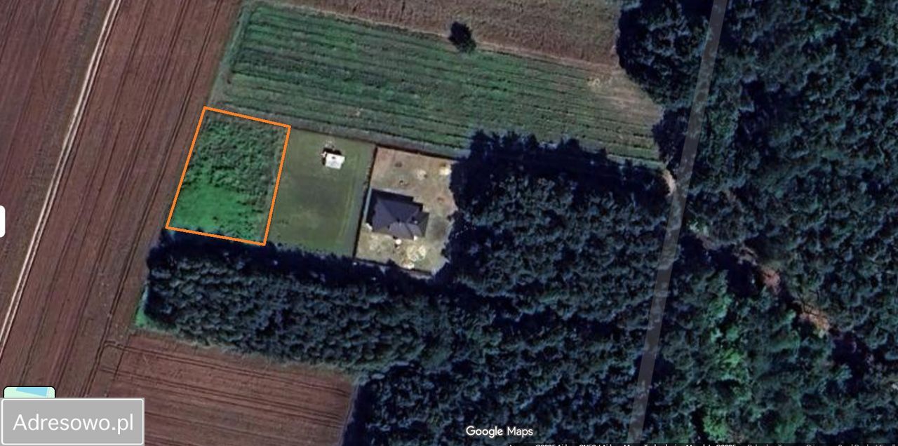 Działka budowlana Borzechów-Kolonia. Zdjęcie 8