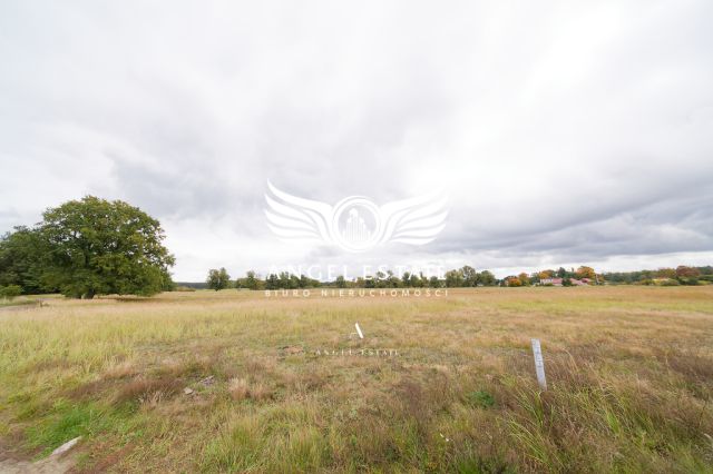 bliźniak, 5 pokoi Grzepnica. Zdjęcie 10