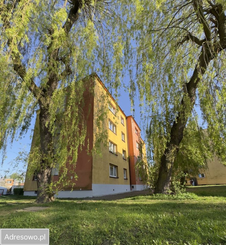 Mieszkanie 1-pokojowe Siemianowice Śląskie Michałkowice, ul. Pocztowa. Zdjęcie 3