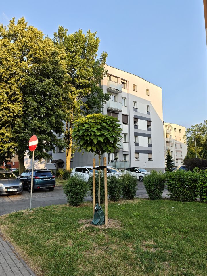 Mieszkanie 2-pokojowe Września Centrum, ul. Stefana Batorego. Zdjęcie 14