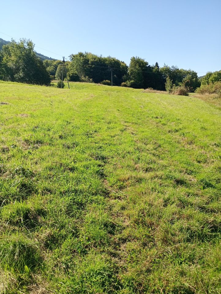 Działka budowlana Gruszowiec Do Jakubca. Zdjęcie 5