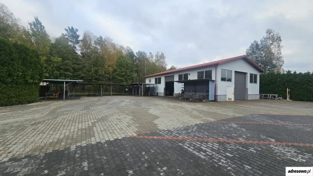 Hala/magazyn Białobiel, ul. Ostrołęcka. Zdjęcie 1