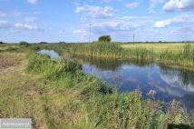 Działka rekreacyjna Sosnowo. Zdjęcie 3