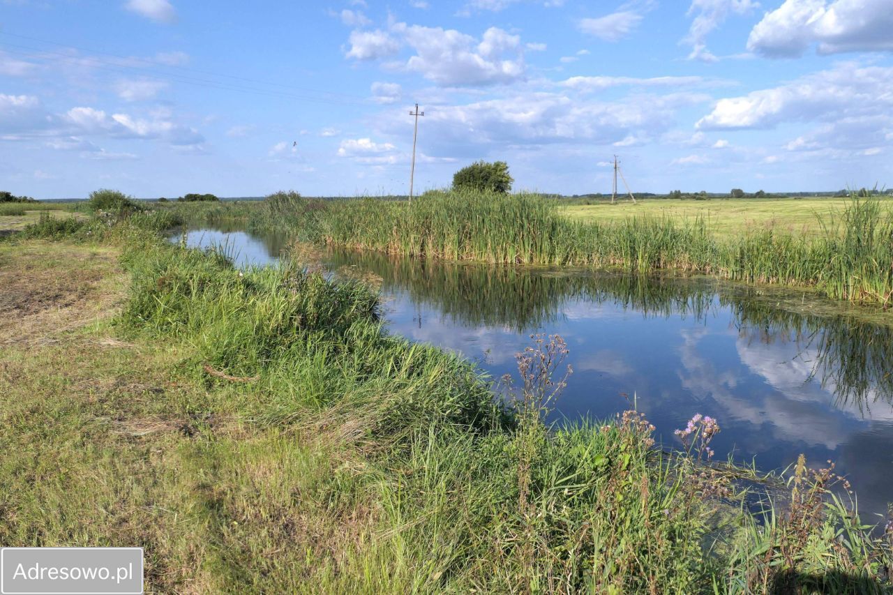 Działka rekreacyjna Sosnowo. Zdjęcie 4
