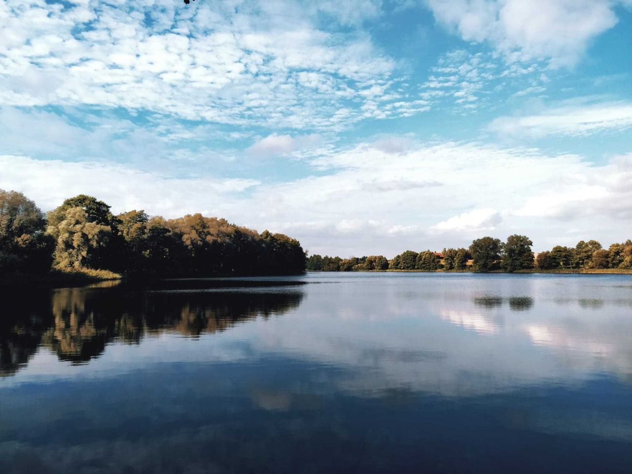 Działka rolno-budowlana Trąbin-Rumunki. Zdjęcie 8