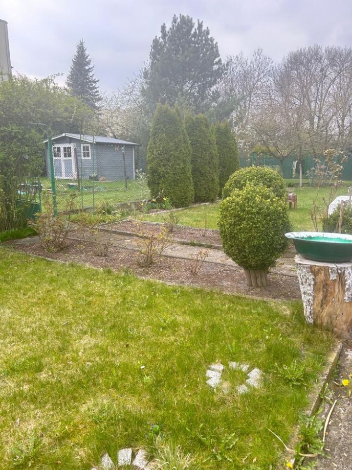 Działka rod Gliwice, ul. Andrzeja Mielęckiego. Zdjęcie 6