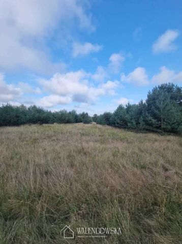 Działka Smołdzino. Zdjęcie 8