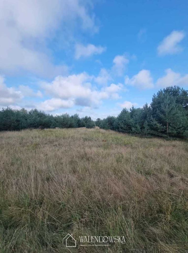 Działka Smołdzino. Zdjęcie 8