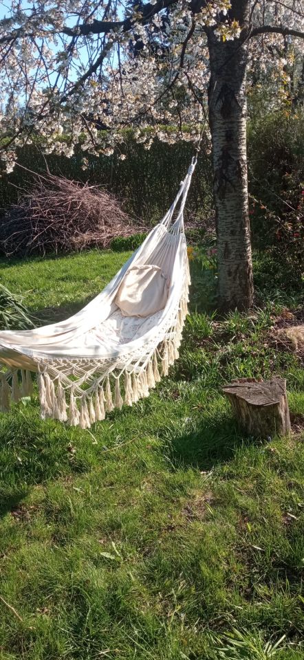 Mieszkanie 4-pokojowe Gliwice Śródmieście, ul. Studzienna ul Zwycięstwa. Zdjęcie 12