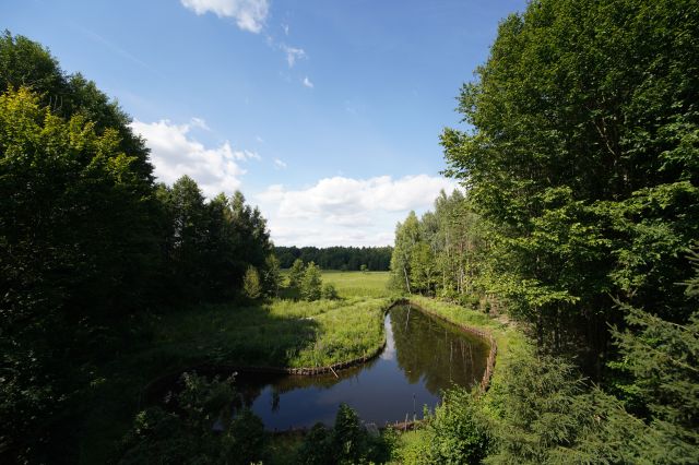 dom wolnostojący, 8 pokoi Siekierka Stara, Siekierka Stara. Zdjęcie 16