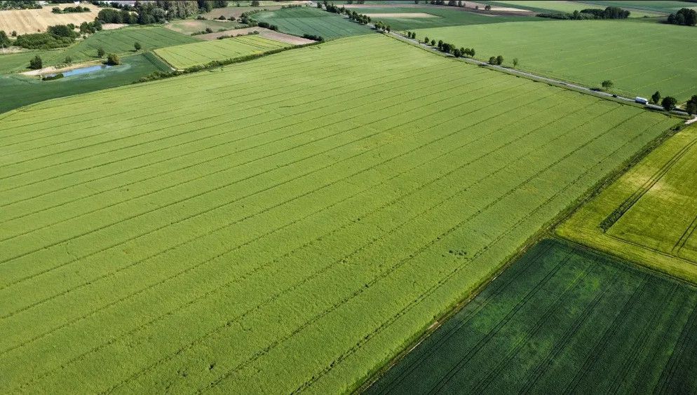 Działka rolna Wierzbica Górna