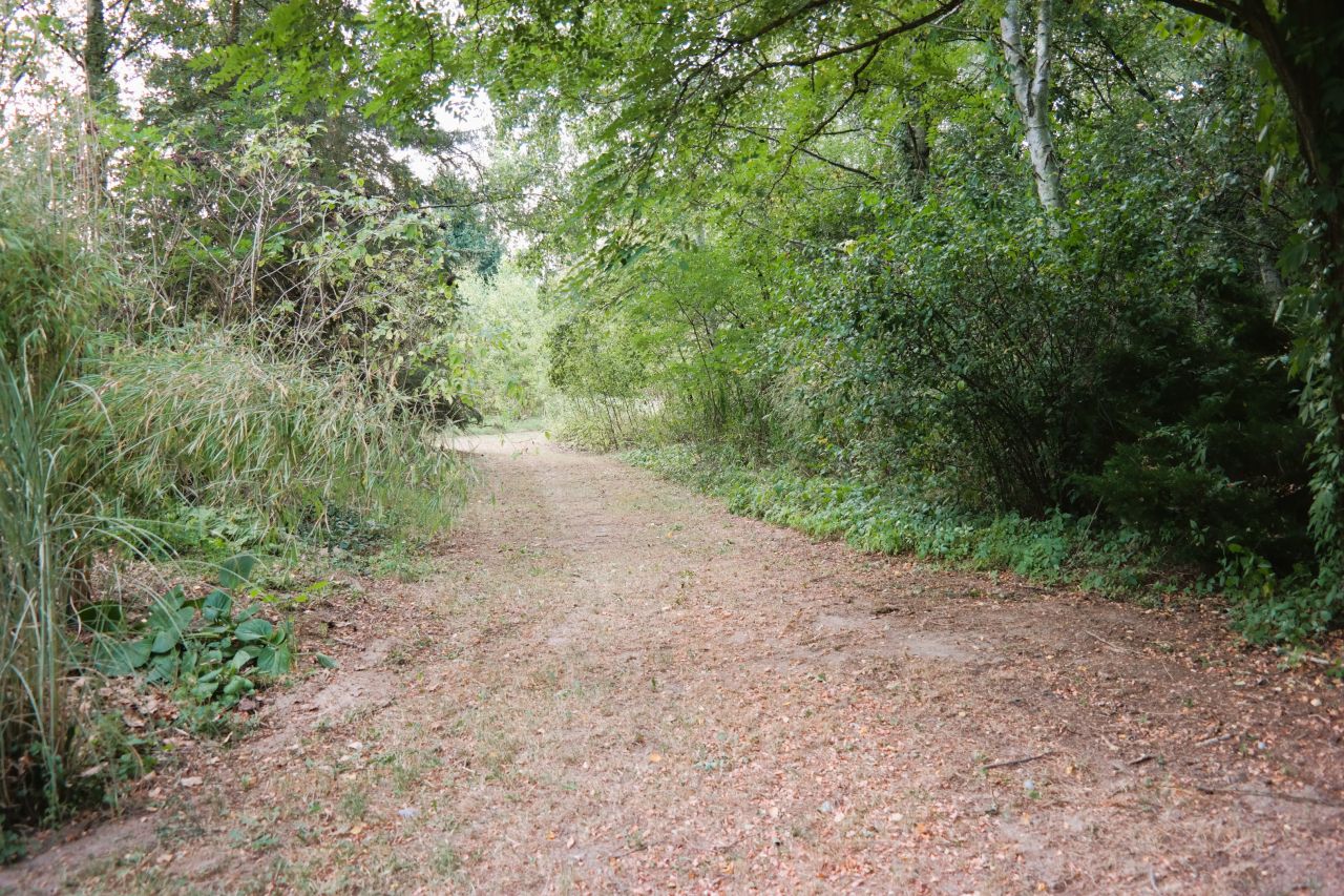 dom wolnostojący, 6 pokoi Nowe Gnatowice. Zdjęcie 16