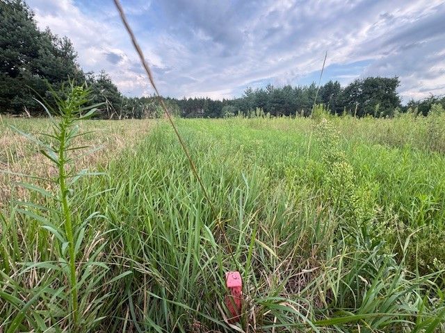 Działka rolno-budowlana Kuligów, ul. Dębinowa. Zdjęcie 7