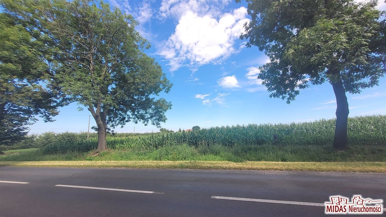 Działka budowlana Dobrzyń nad Wisłą. Zdjęcie 7