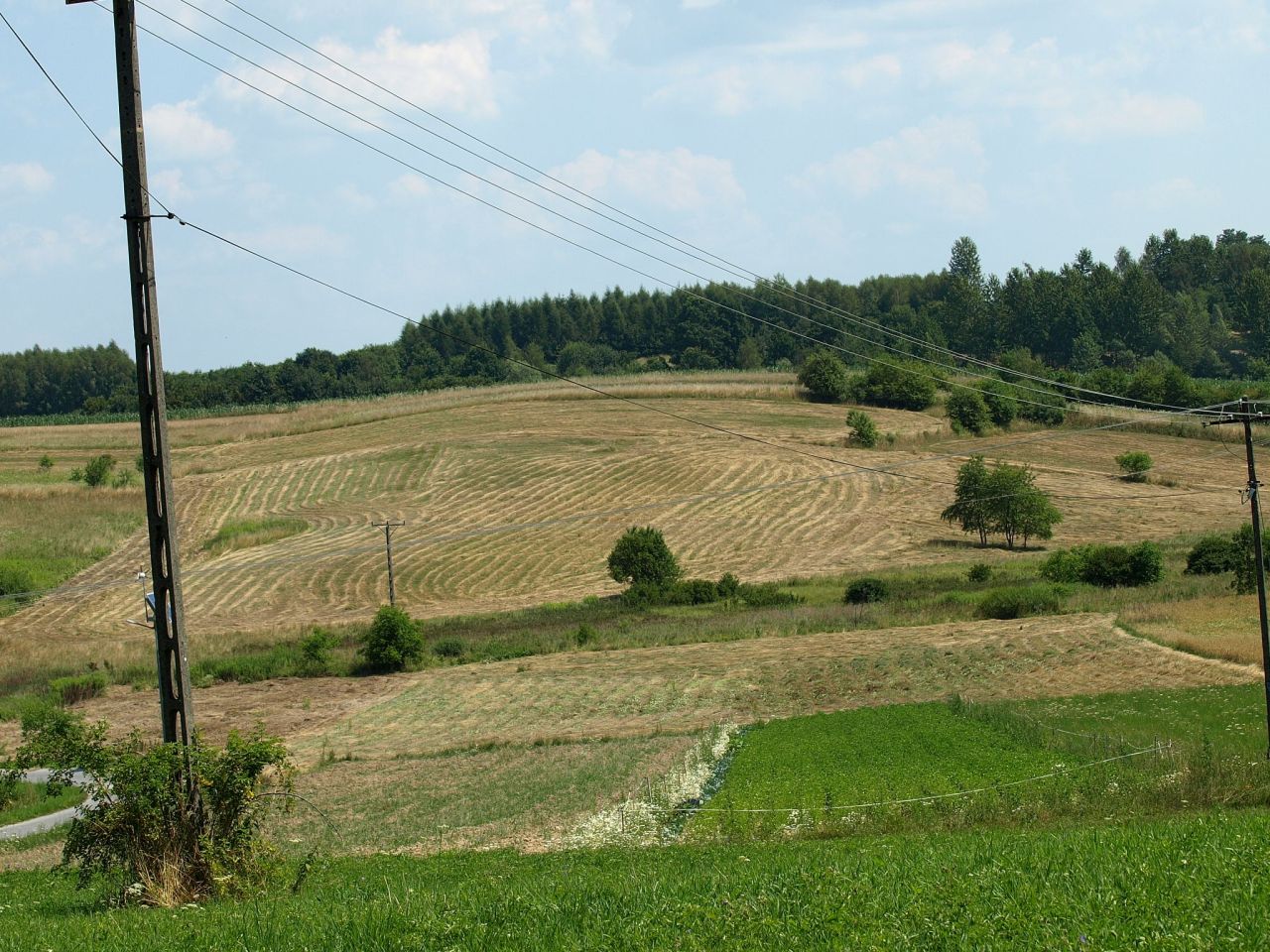 Działka inwestycyjna Lublica. Zdjęcie 3