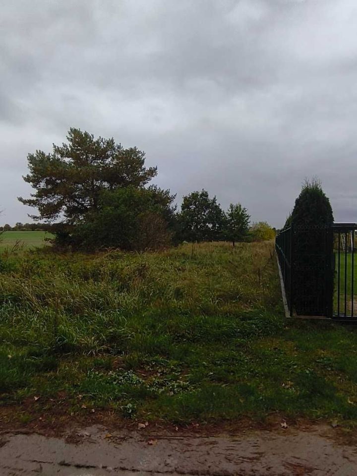 Działka rolno-budowlana Karnice. Zdjęcie 2