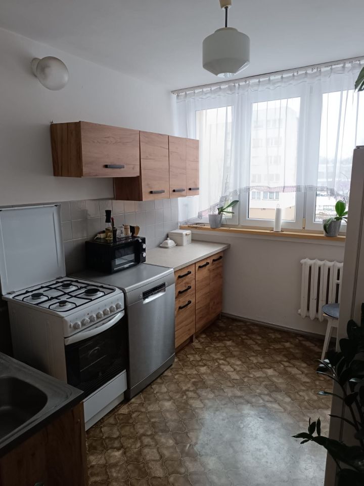 Mieszkanie 2-pokojowe Kłodzko Centrum, ul. Dąbrówki. Zdjęcie 3