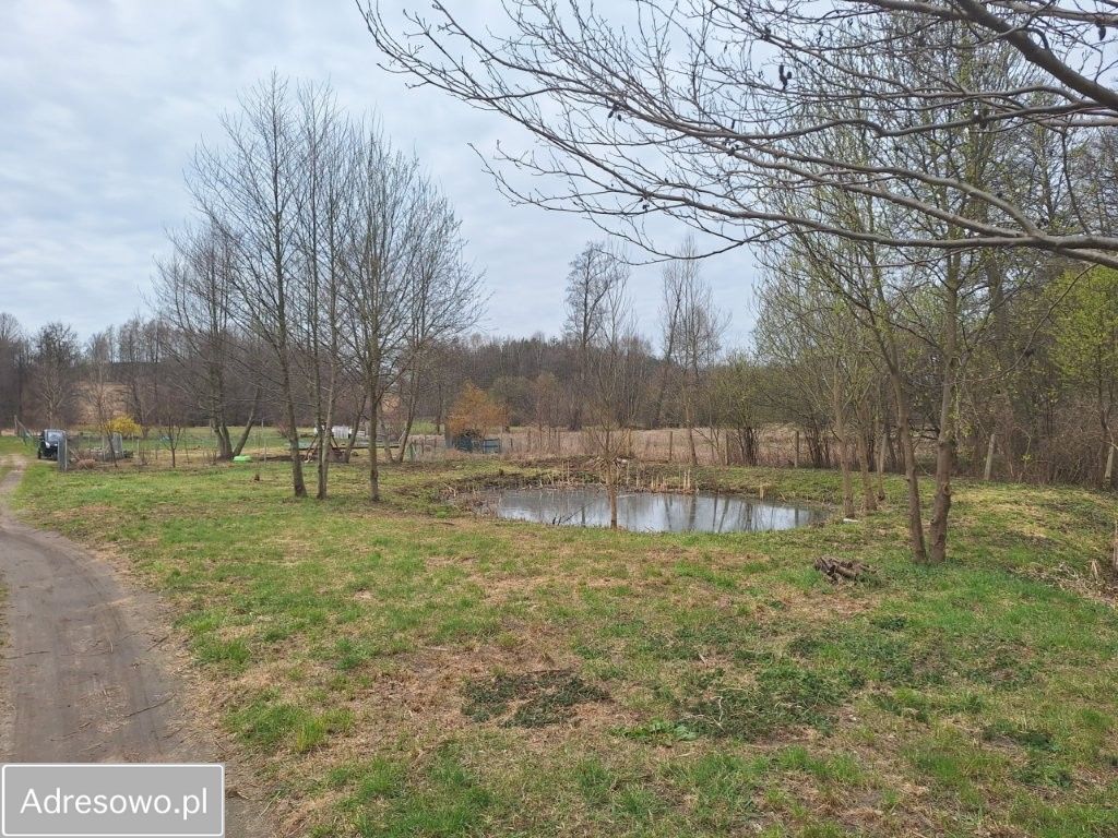 Działka rekreacyjna Rypin, ul. Spokojna. Zdjęcie 8