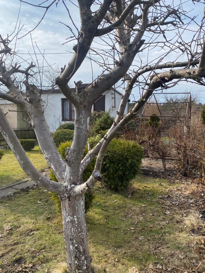 Działka rod Tychy. Zdjęcie 5