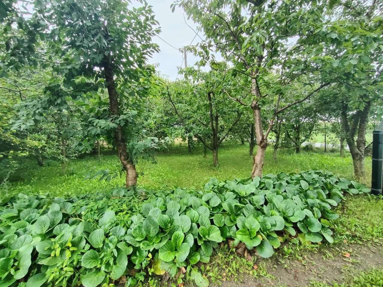 dom wolnostojący, 2 pokoje Majdany. Zdjęcie 3