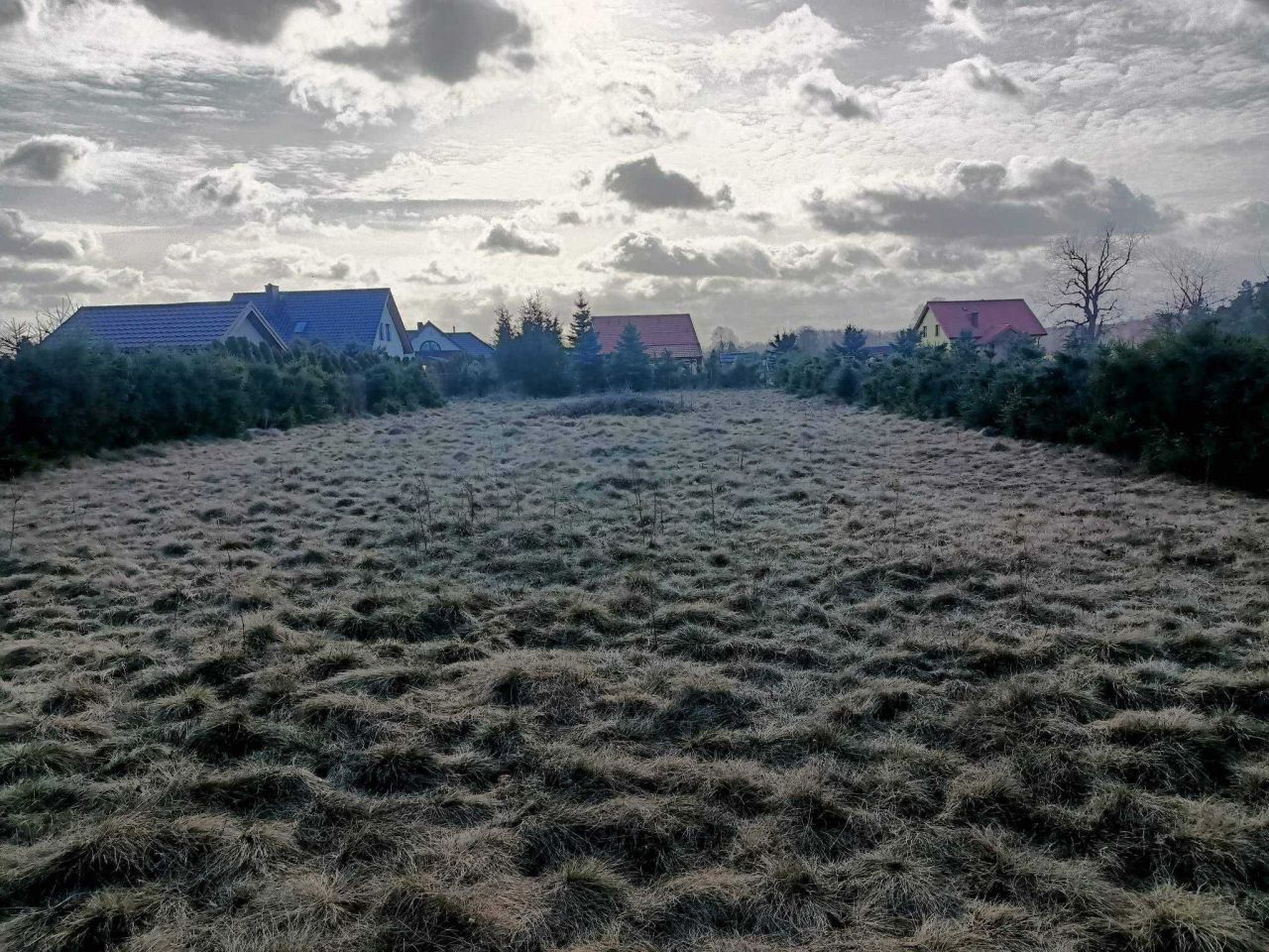 Działka budowlana Wielbark, ul. Podmiejska. Zdjęcie 2