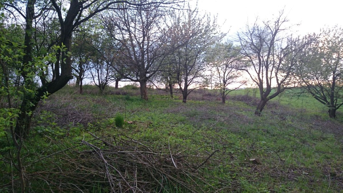 Działka siedliskowa Maszków, ul. Zamoście. Zdjęcie 13