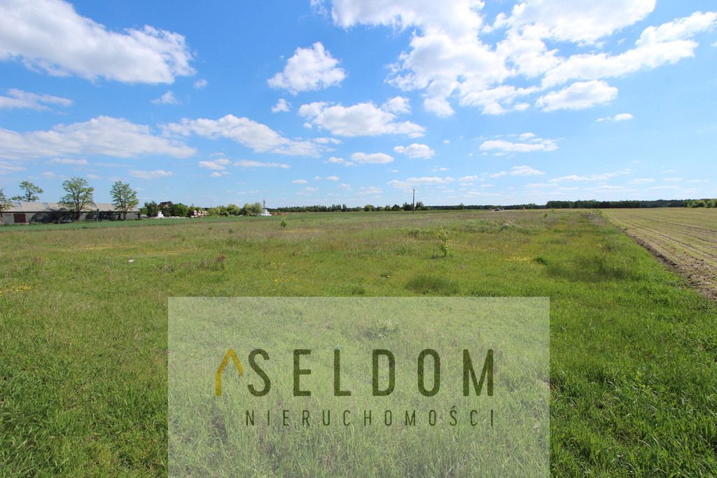 Działka budowlana Kuny. Zdjęcie 6