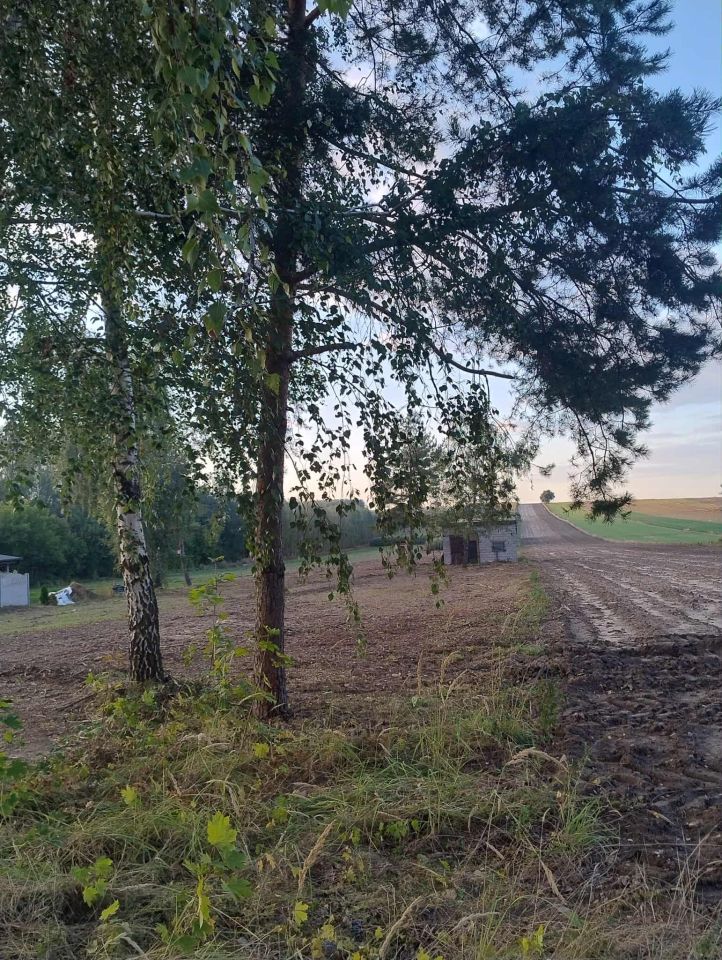 Działka rolno-budowlana Mokrzesz, ul. Częstochowska. Zdjęcie 8