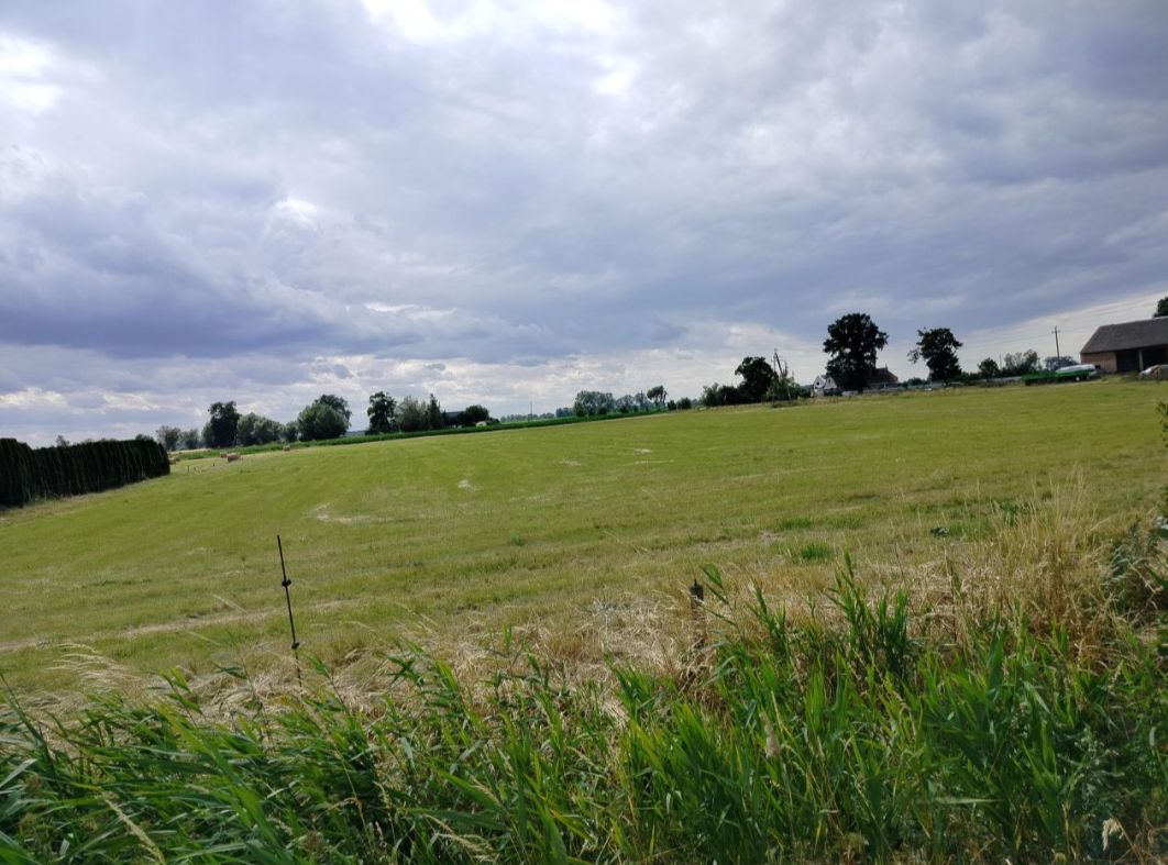 Działka rolna Głuchowo, ul. Lemierzycka. Zdjęcie 9