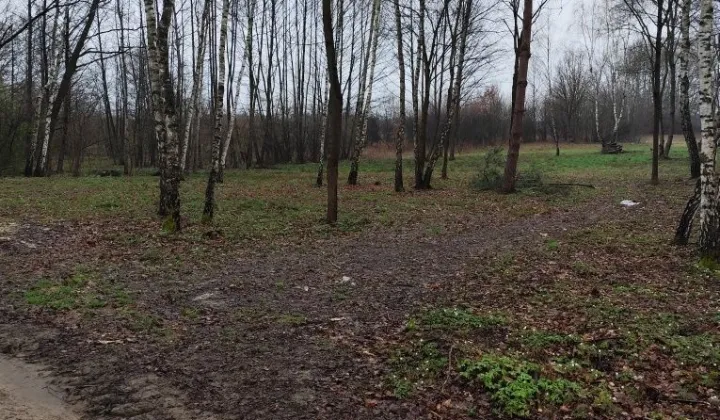 Działka budowlana Ocieka