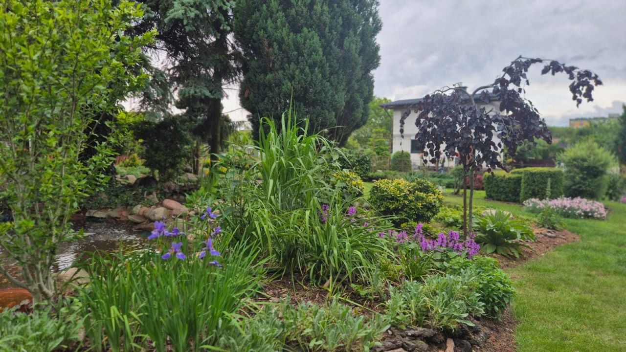 Działka rod Chojnice. Zdjęcie 2