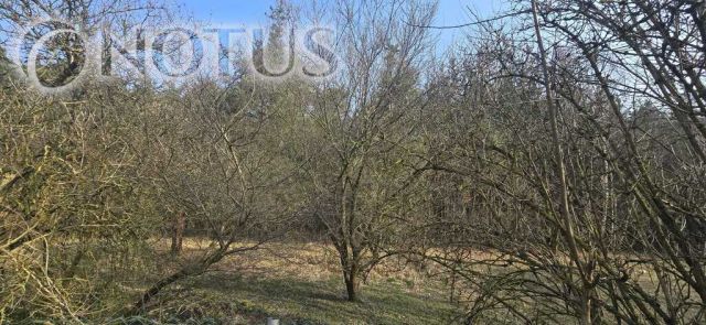 dom wolnostojący, 2 pokoje Klatka. Zdjęcie 10