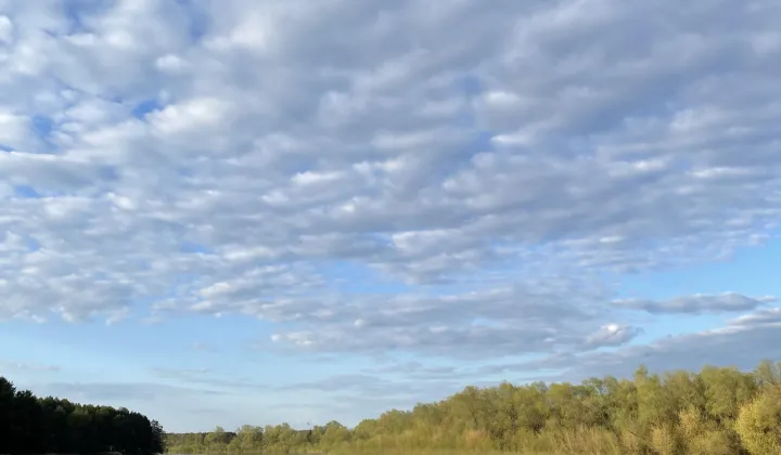 Nieruchomość komercyjna Mierzwice-Kolonia