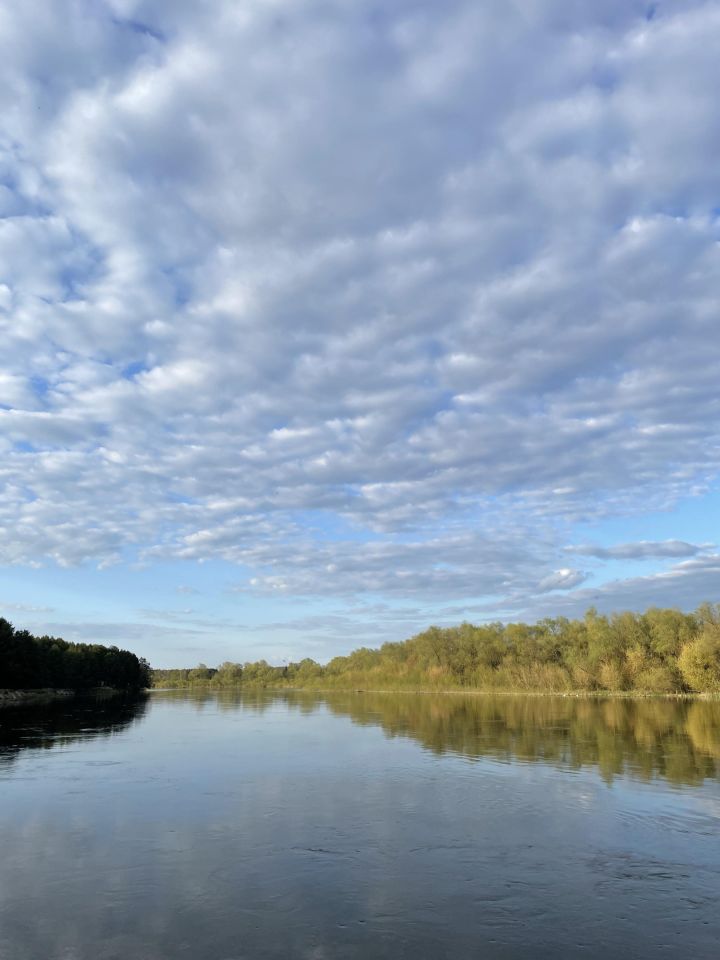 Nieruchomość komercyjna Mierzwice-Kolonia. Zdjęcie 1