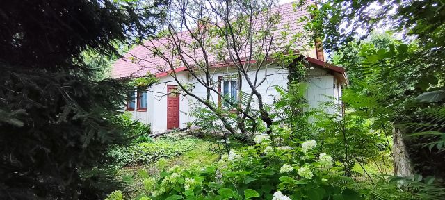 Działka siedliskowa Zawada. Zdjęcie 7