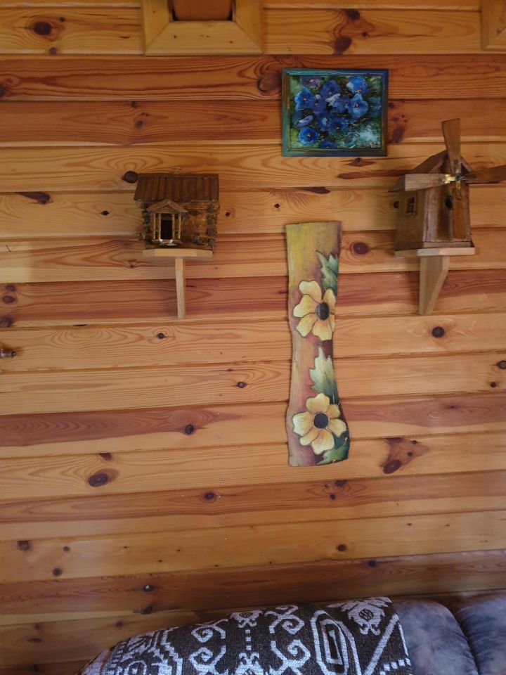 Działka rekreacyjna Rudniki. Zdjęcie 2