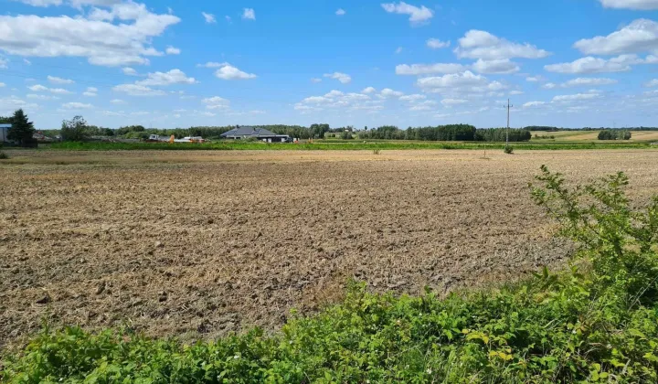 Działka budowlana Lisia Góra, ul. Rolnicza