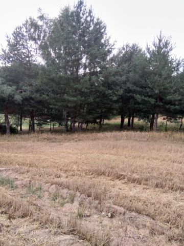 Działka budowlana Katarzynopole. Zdjęcie 2