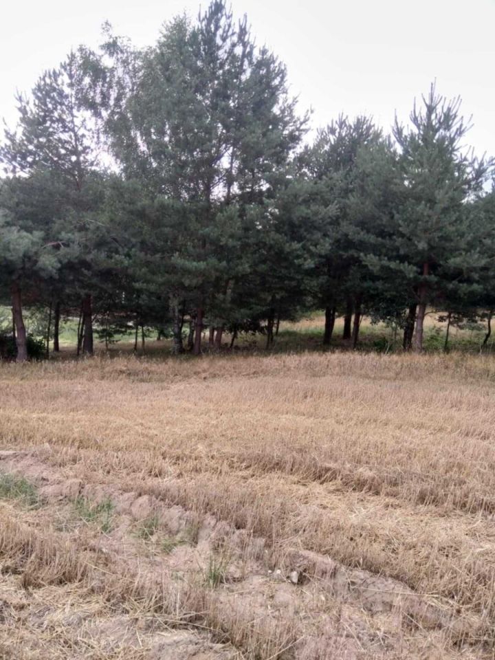 Działka budowlana Katarzynopole. Zdjęcie 8