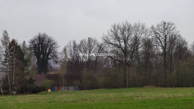 dom wolnostojący, 2 pokoje Nowa Wieś. Zdjęcie 22