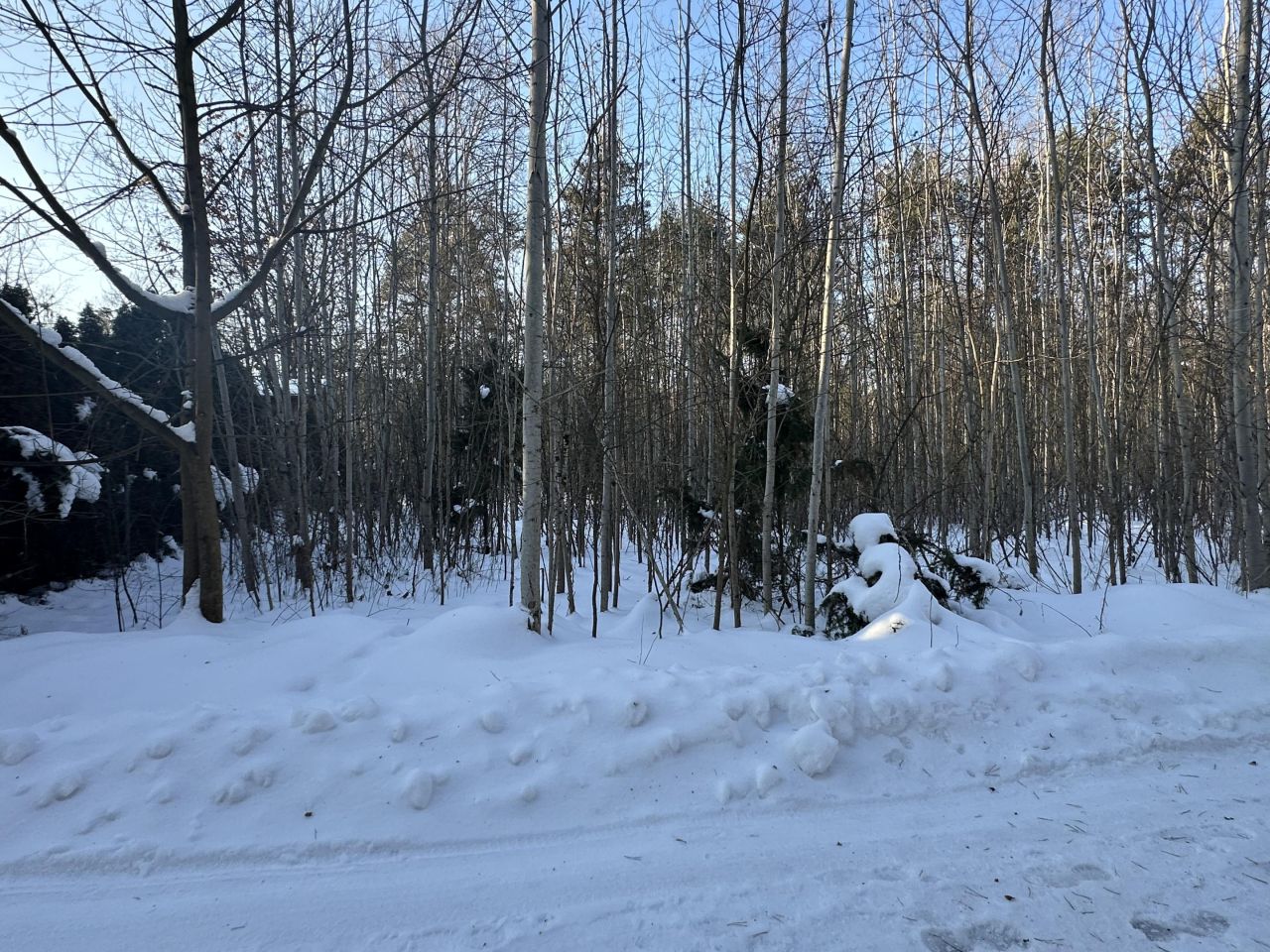 Działka budowlana Nowe Grobice, ul. Graniczna. Zdjęcie 7