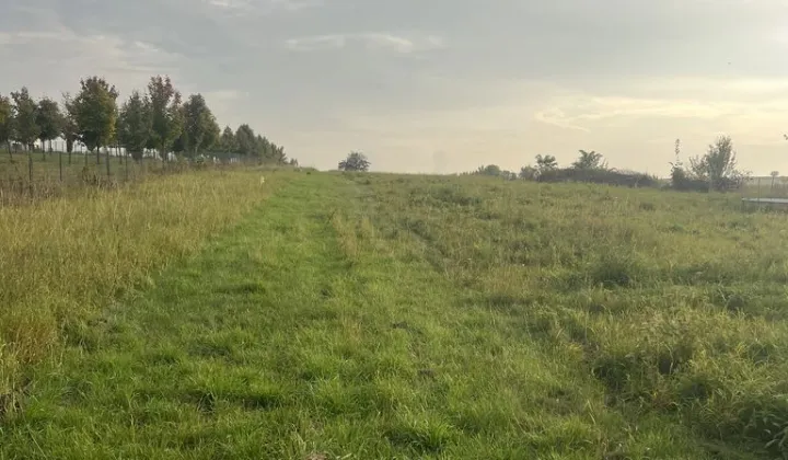 Działka budowlana Dąbrowa Górnicza Ujejsce, ul. Olimpijska