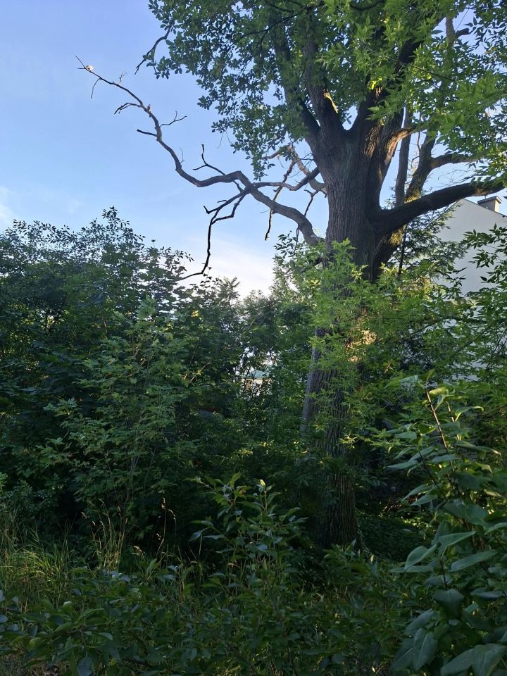 Działka budowlana Puławy Górna Niwa, ul. Wacława Sieroszewskiego. Zdjęcie 2