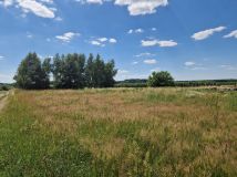 Działka rekreacyjna Bieliny. Zdjęcie 2