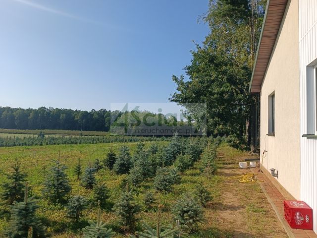 Działka siedliskowa Osuchów. Zdjęcie 2